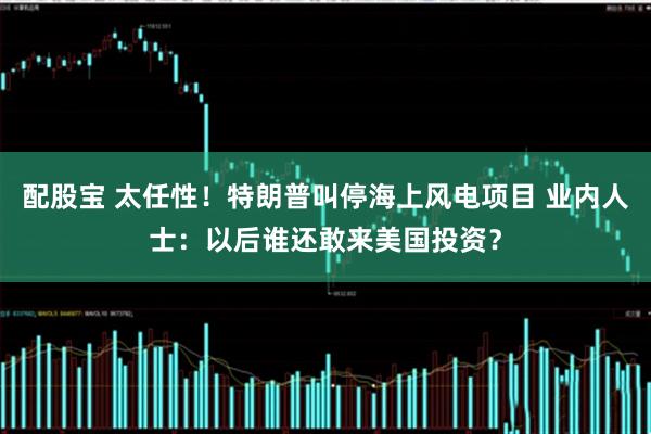 配股宝 太任性！特朗普叫停海上风电项目 业内人士：以后谁还敢来美国投资？