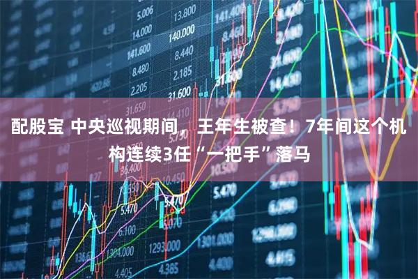 配股宝 中央巡视期间，王年生被查！7年间这个机构连续3任“一把手”落马