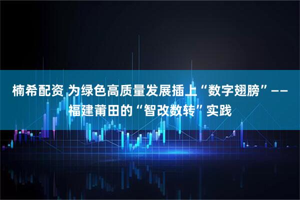 楠希配资 为绿色高质量发展插上“数字翅膀”——福建莆田的“智改数转”实践