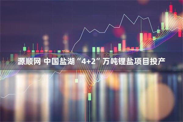 源顺网 中国盐湖“4+2”万吨锂盐项目投产