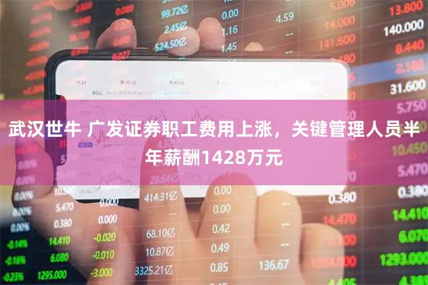 武汉世牛 广发证券职工费用上涨，关键管理人员半年薪酬1428万元