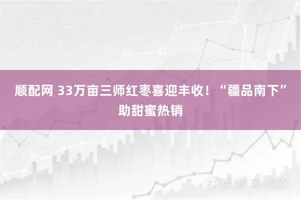 顺配网 33万亩三师红枣喜迎丰收！“疆品南下”助甜蜜热销