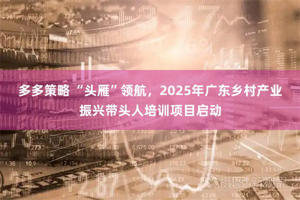 多多策略 “头雁”领航，2025年广东乡村产业振兴带头人培训项目启动