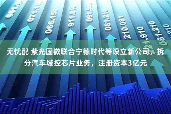 无忧配 紫光国微联合宁德时代等设立新公司,拆分汽车域控芯片业务,注册资本3亿元
