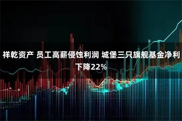 祥乾资产 员工高薪侵蚀利润 城堡三只旗舰基金净利下降22%