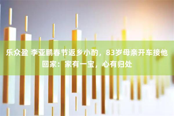 乐众盈 李亚鹏春节返乡小酌，83岁母亲开车接他回家：家有一宝，心有归处