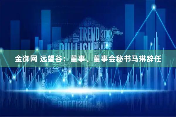 金御网 远望谷：董事、董事会秘书马琳辞任